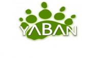 YABAN TV